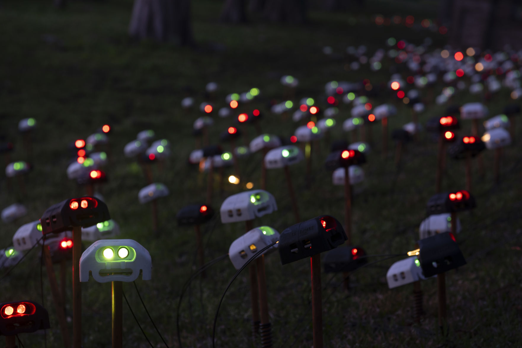 Artist Bruce Munro's 'Okonjima Choral Society'